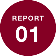 REPORT 01